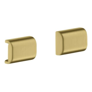 hansgrohe Abdeckung Axor universal für Reling, brushed brass
