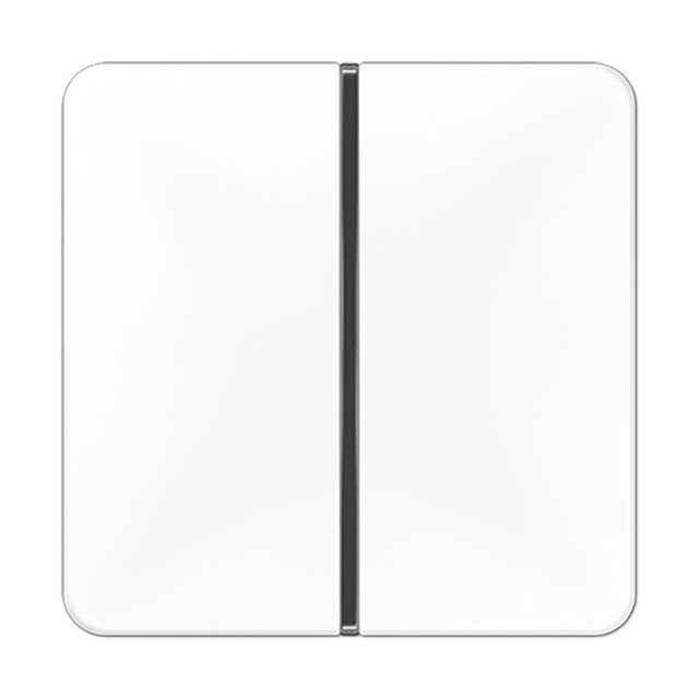 Jung Tastensatz 1-fach aws komplett CD 401 TSA WW