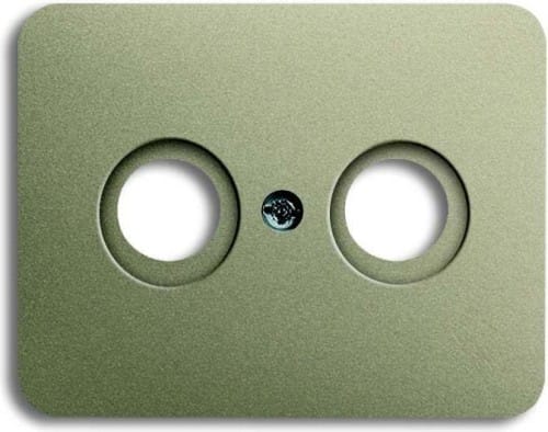 Busch-Jaeger Zentralscheibe pall f.Antennendose 2Loch 1743-260