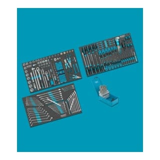 HAZET Werkzeug-Sortiment 0-179NXL/265 ∙ Anzahl Werkzeuge: 265