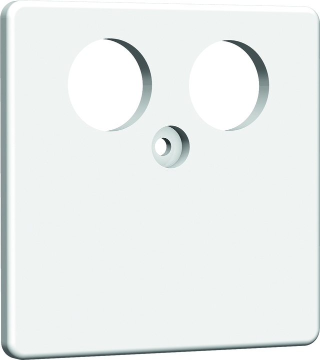 Homeway HW-ZP-TV Zentralplatte 50mm rws HAXHSE-G0201-C001