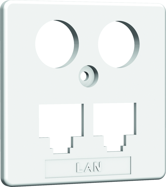 Homeway HW-ZP EK1 LAN/LAN Zentral. 50mm rws HAXHSE-G0401-C021
