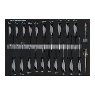 Kraftwerk Schraubendreher-Einlage 22-tlg.