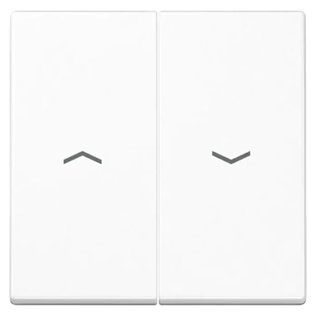 Jung Wippe Symbole aws für Jal.Wippschalter A 595 P WW