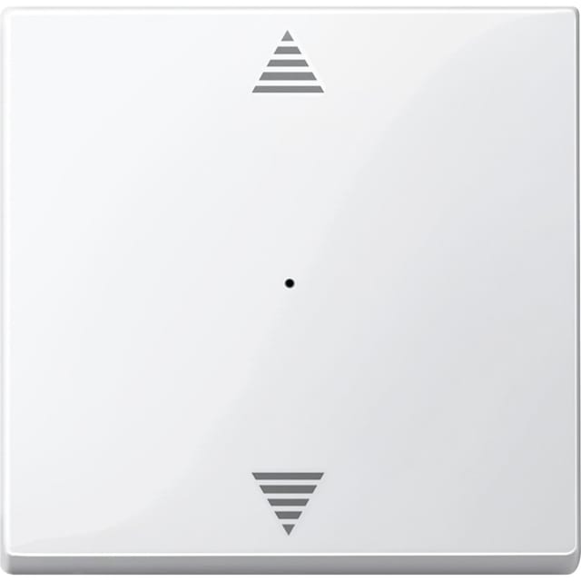 Merten Wippe pws/gl für Tastermodul 1f. 619419
