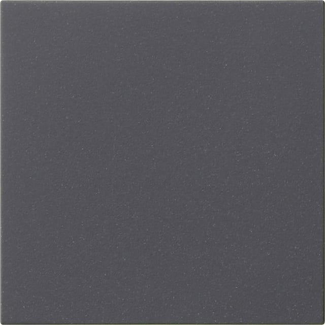 Gira Bedienaufsatz System anth 536028