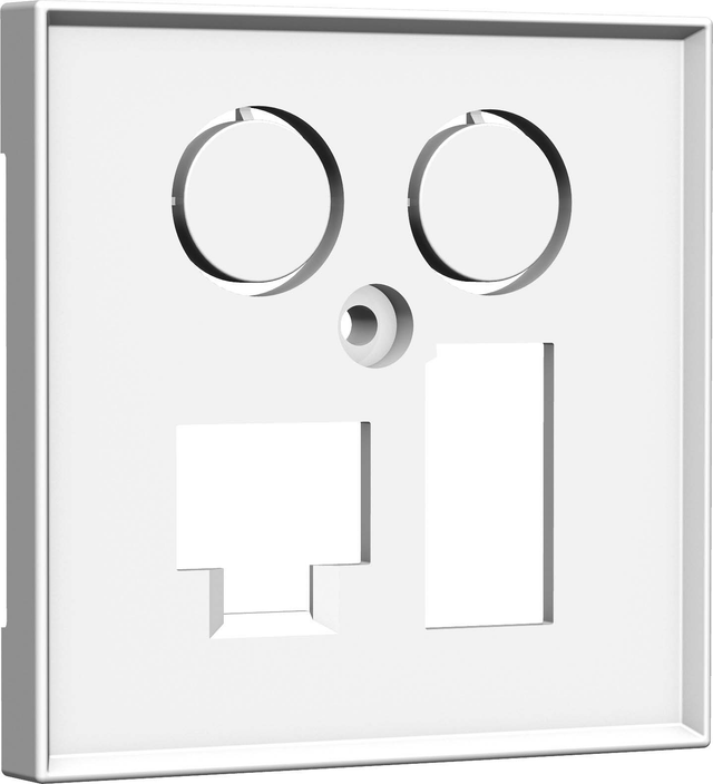 Homeway Zentralplatte 55x55mm rws TV+LAN/TAE 55x55