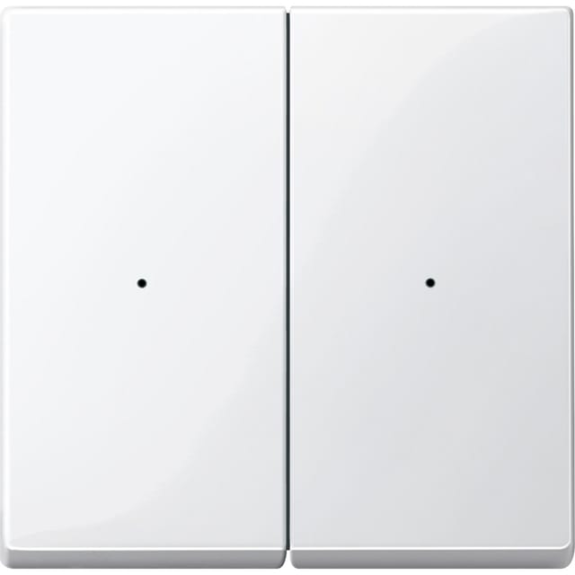 Merten Wippe pws/gl für Tastermodul 2f. 619219