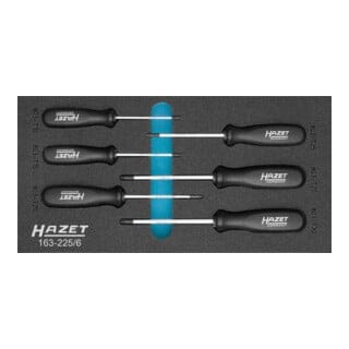 HAZET Schraubendreher-Satz TX 163-225/6 Innen TX Profil T 10 - T 30 Anzahl Werkzeuge: 6