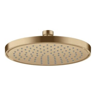 hansgrohe Kopfbrause Axor Deck.- o Wd, 220mm, 1j, brush. bron