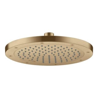 hansgrohe Kopfbrause EcoSmart Axor Deck.- o Wd, 245mm, 1j, brush. bron