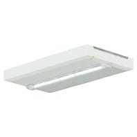 Ceag Notlichtsysteme Rettungszeichenleuchte 400lm AT L, 1-8H FT2SE400ATL18