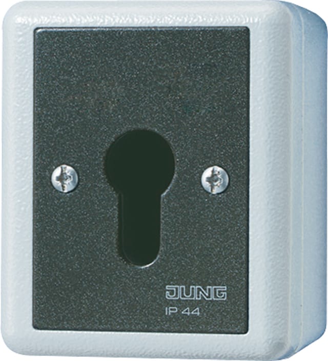 Jung Schlüsselschalter 16AX 250V 2-pol. 806.28 G