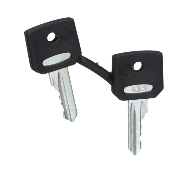 Schneider Electric Ersatzschlüssel ZBG455