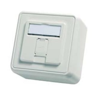 Telegärtner Modul-Aufnahme AP 80x80 1fach aws leer 100021381