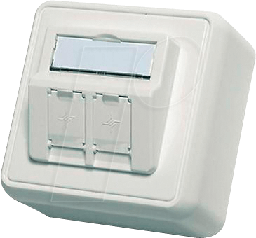 Telegärtner Modul-Aufnahme AP 80x80 2fach aws leer 100021382