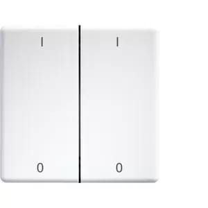Eltako Doppelwippe lasergraviert f.55x55mm rws/glänz DW-FT55-wg+IO