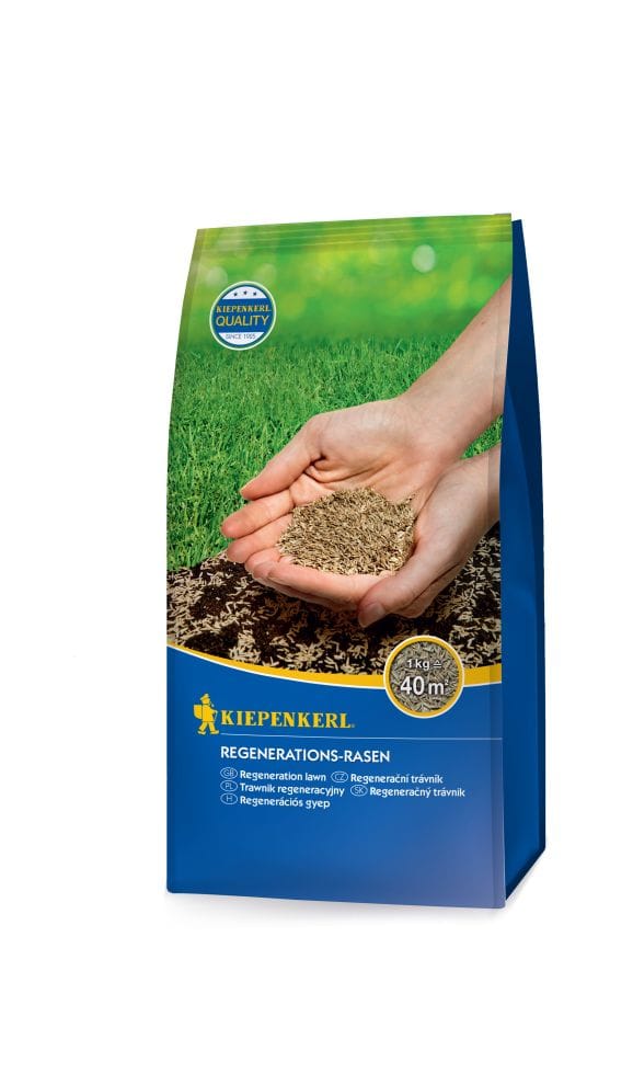 Kiepenkerl - Regenerations-Rasen 1 kg