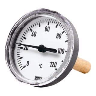 Riegler Bimetallthermom., G 1/2 hi., Tauchschaftlänge 100mm Ã˜80, bis 60°C