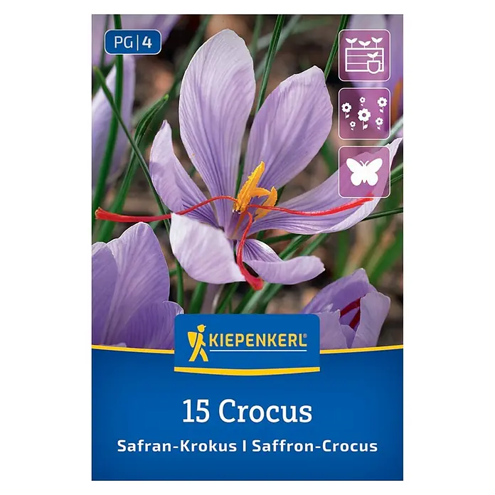 Kiepenkerl Blumenzwiebeln Safrankrokus (Crocus sativus)