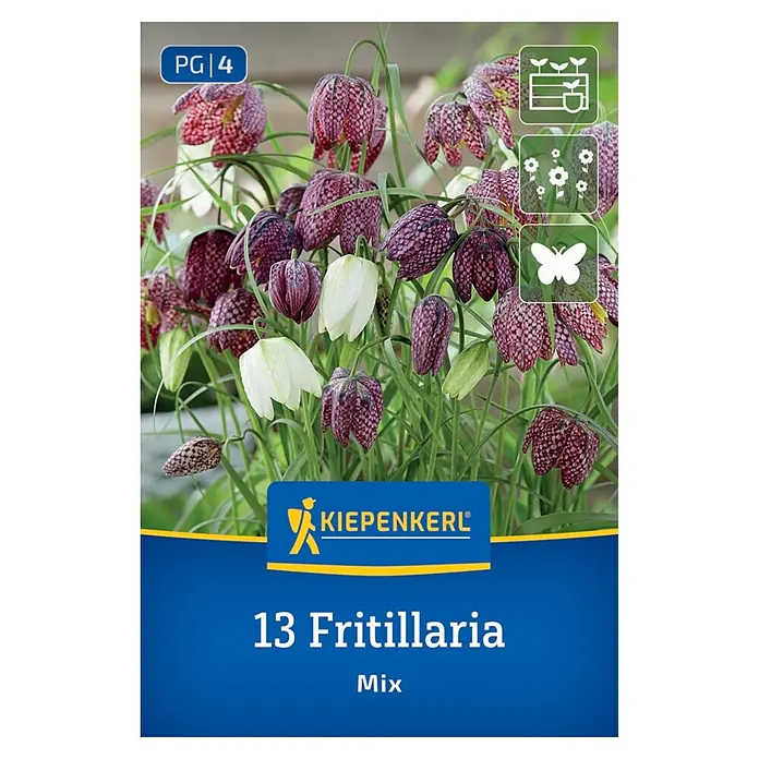 Kiepenkerl Blumenzwiebeln Schachbrettblumen Mischung (Fritillaria meleagris)