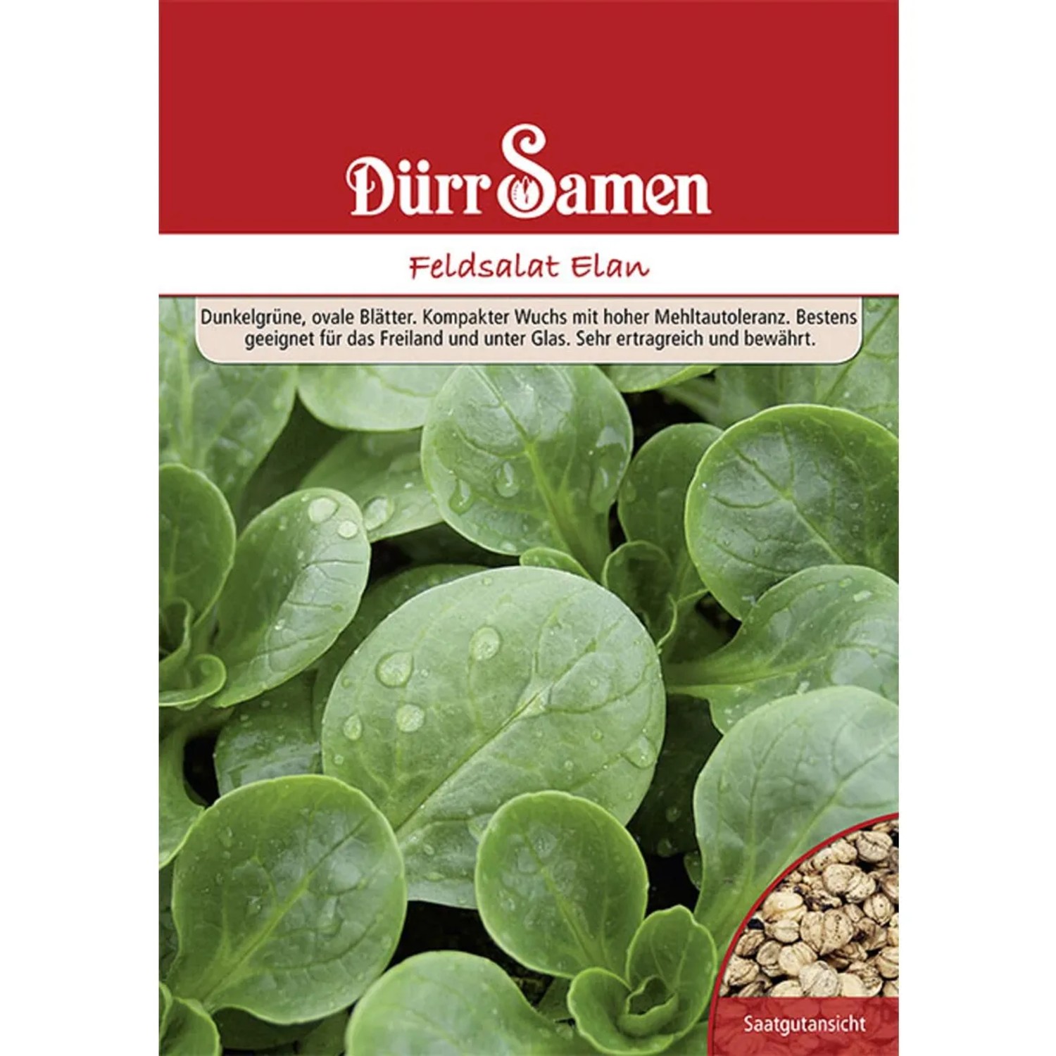 Dürr Samen Feldsalat Elan 250 G Saatgut