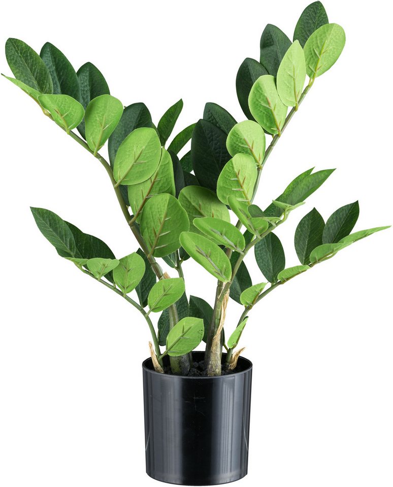 Kunstpflanze Zamifolia Grünpflanze, Creativ green, Höhe 45 cm, mit 6 Wedeln