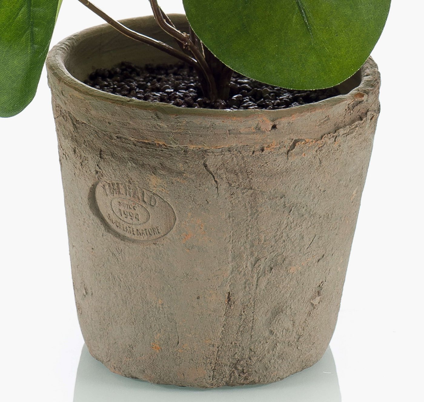 Kunstpflanze Künstliche Sukkulente Glückstaler Sybil im Terracottatopf, grün, 20cm Glückstaler, artplants, Höhe 20.0 cm Bild 4