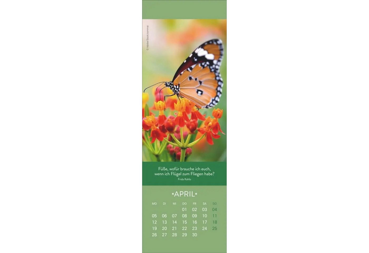 HEYE Wandkalender Gute Gedanken Lesezeichen & Kalender 2027 Bild 3