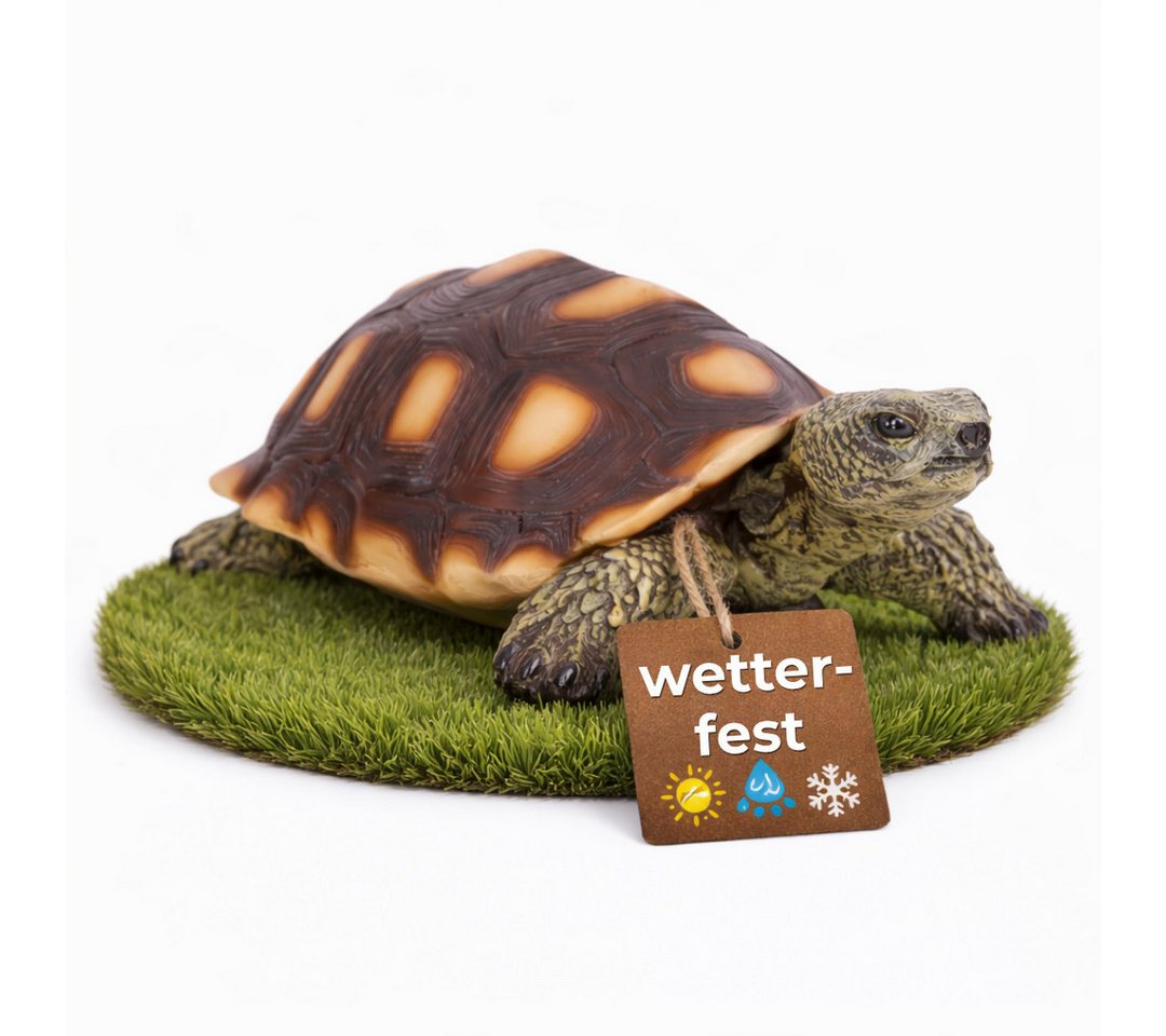 Topanbieter999 Gartenfigur Schildkröte forstbeständig & UV-geschützt für innen & außen Bild 5