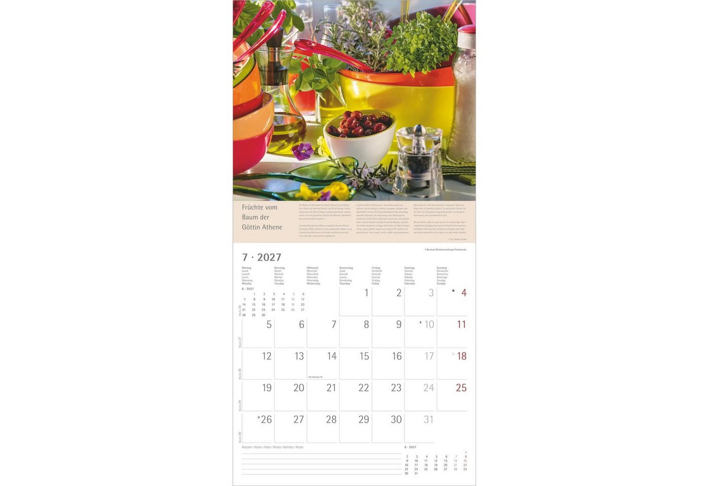 NEUMANN Wandkalender Kräuter und Gewürze 2027 Bild 4