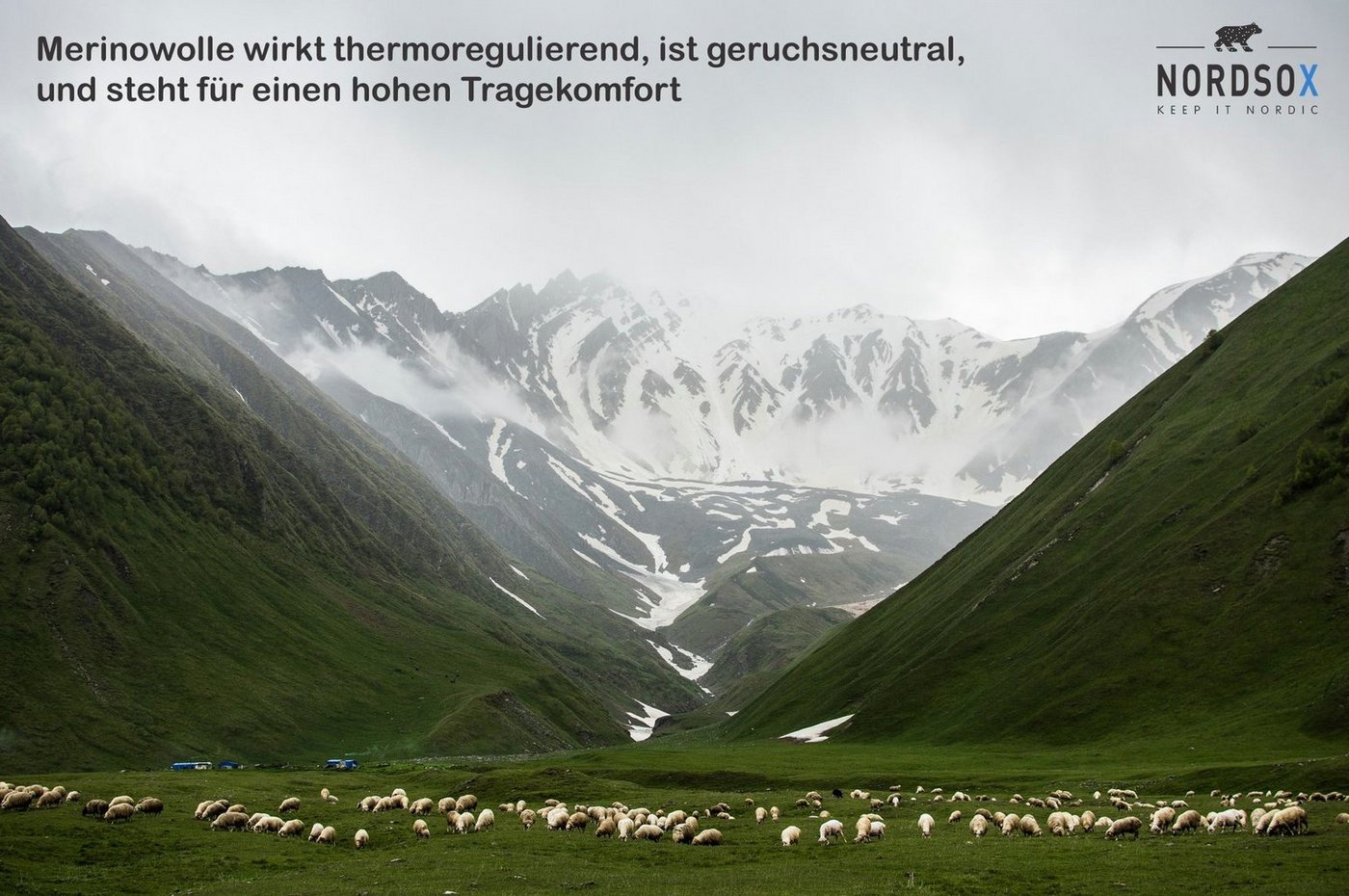 NORDSOX Wandersocken Merino Wolle für Damen und Herren (4-Paar) Klimaregulierend & gepolsterte Sohle und Ferse & weich & atmungsaktiv Bild 5