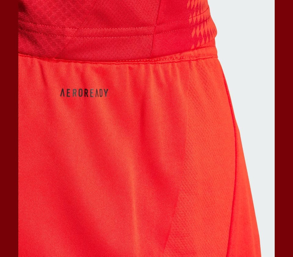 adidas Sportswear Trainingsshorts FCB H SHO