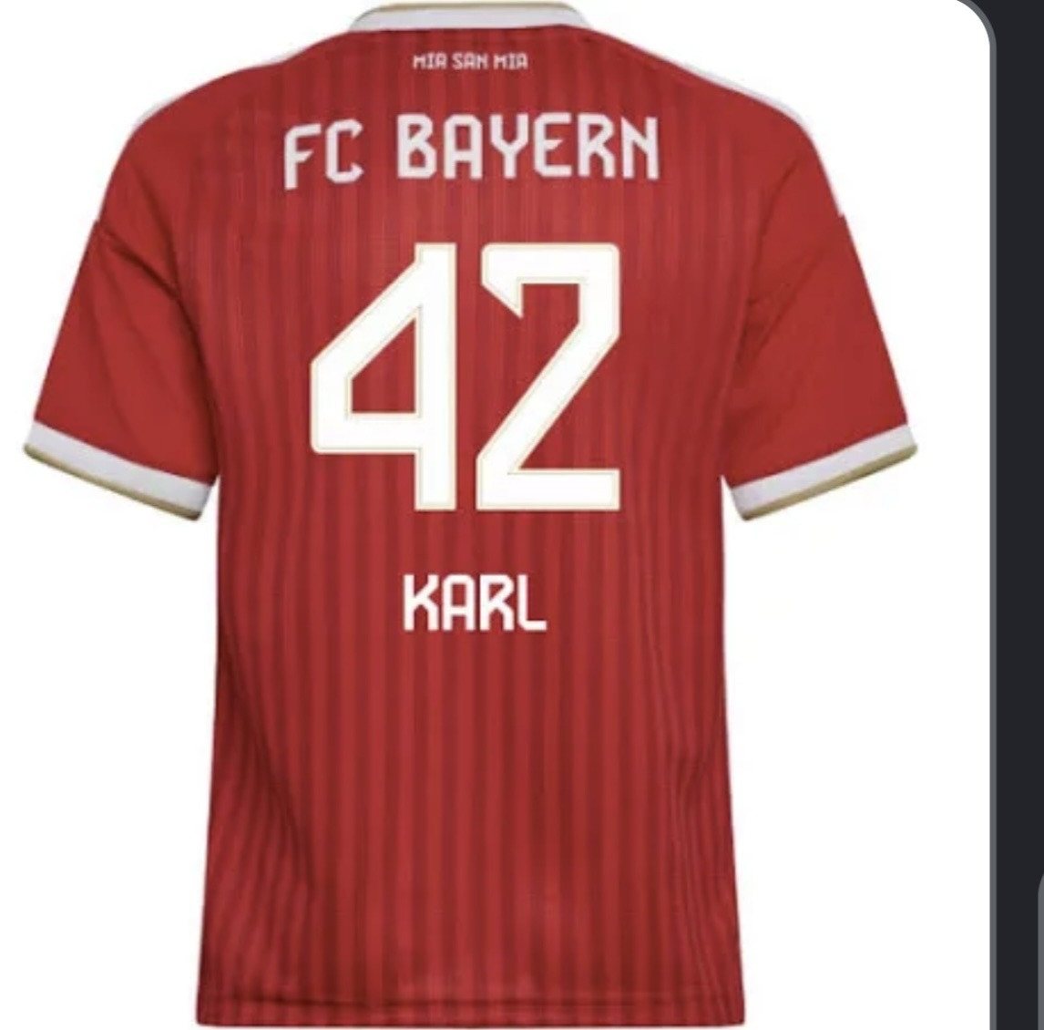 adidas Performance Fußballtrikot karl home 2027 Bild 2