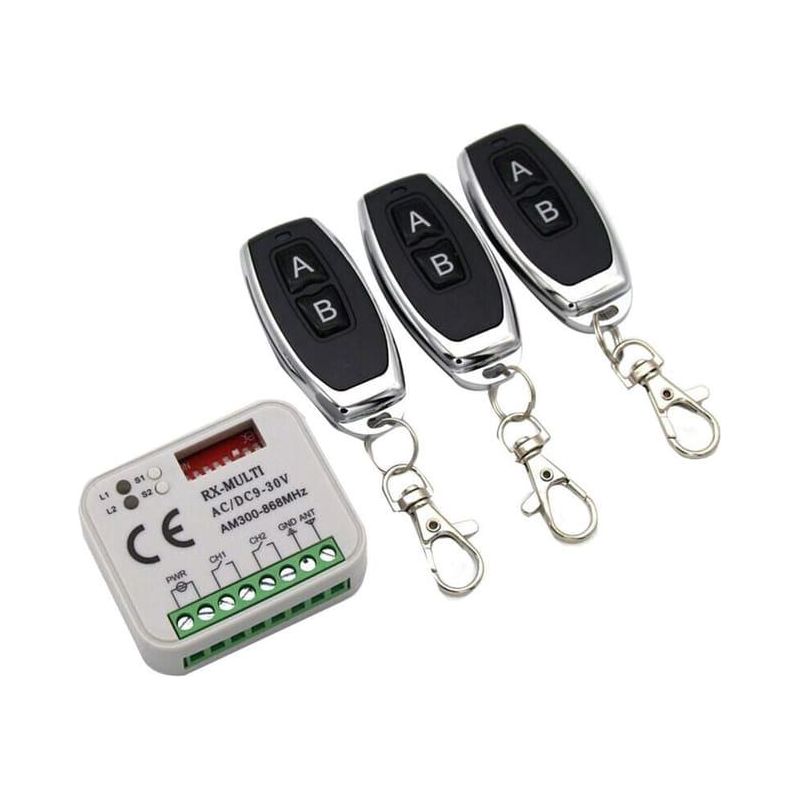 Ecostar Rsc2 433-mhz-fernbedienung Für Tore, Kompatibel Mit 433-mhz-rolling-code-modellen, 2er-pack