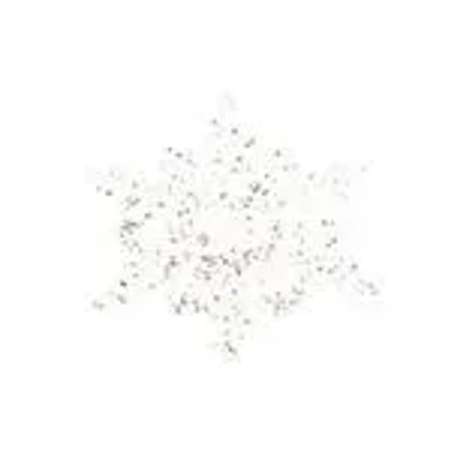 Kaemingk Haenger Christbaumschmuck Eisstern Schneeflocke Transparent Silber