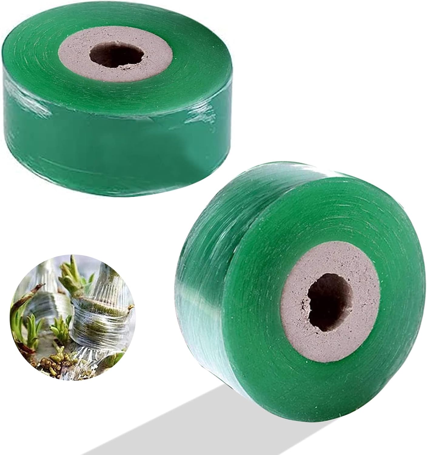 Ccykxa 2 Rouleaux Greffage Ruban, Ruban Greffage Transparent, Biodegradable, Auto-adhésif, Ruban Film A Greffer Pour Greffage Pépinière Arbre Semis Fleurs (vert 3 Cm)
