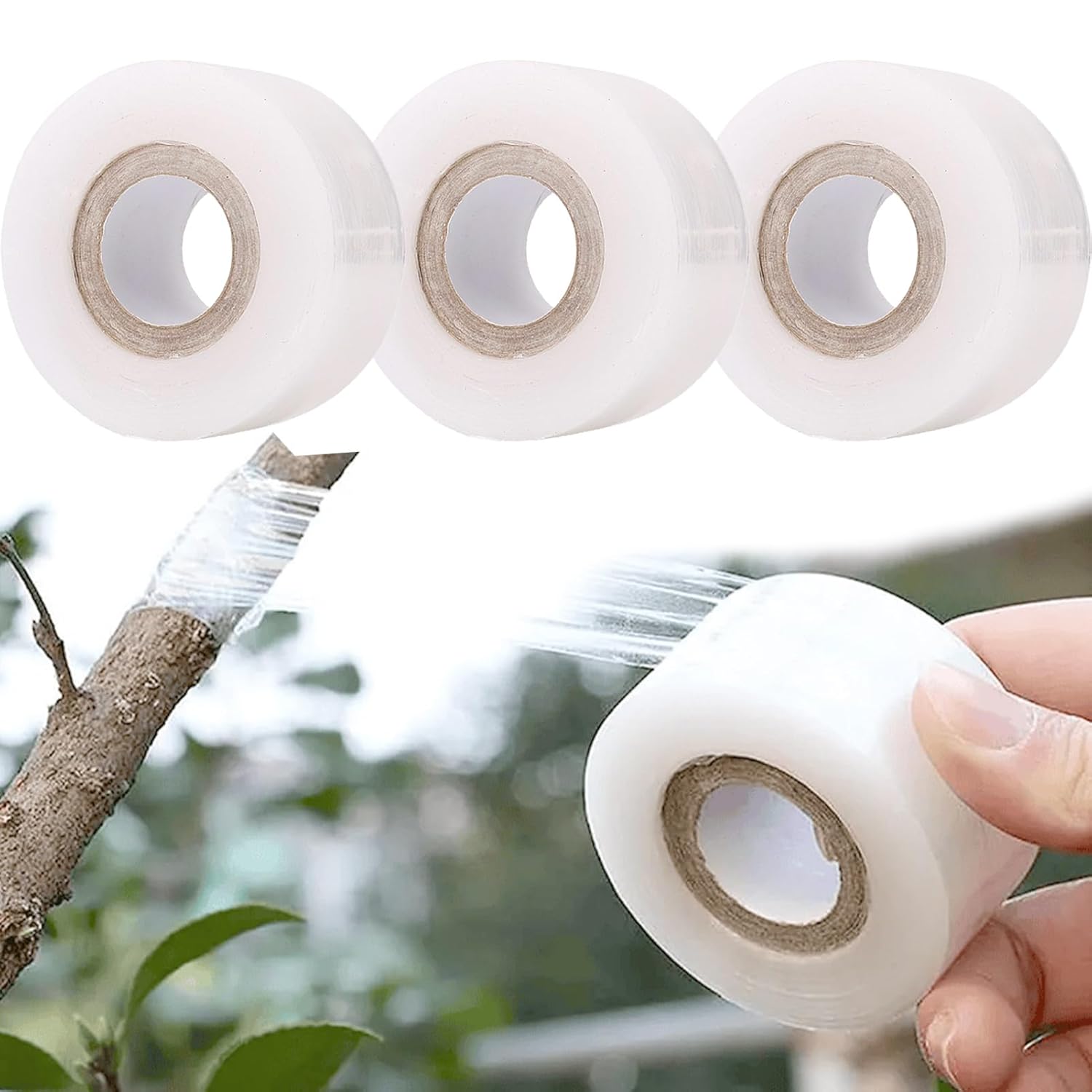 Ccykxa 3 Pièces Ruban De Greffage Transparent Réparation De Plante Film Extensible Auto-adhésif Idéal Pour Arbres Fruitiers,tomates,fleurs Et Pépinières,70 M