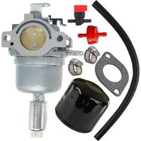 Kompatibel Mit Vergaser 796587, Kompatibel Mit Briggs & Stratton Vergasern 594601, 796109, 591731, 594593, 591736, 590400, 796078