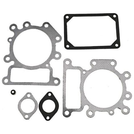 Kompletter Satz Partman-dichtungen Und O-ringe Für Briggs & Stratton / Electrolux Motoren (794152, 690190)