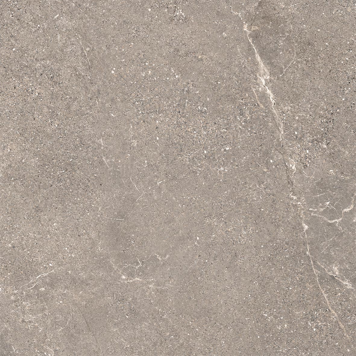 Feinsteinzeug Steinoptik Venato Beige 60x60 - Ewds1329 (ceramishop.de)