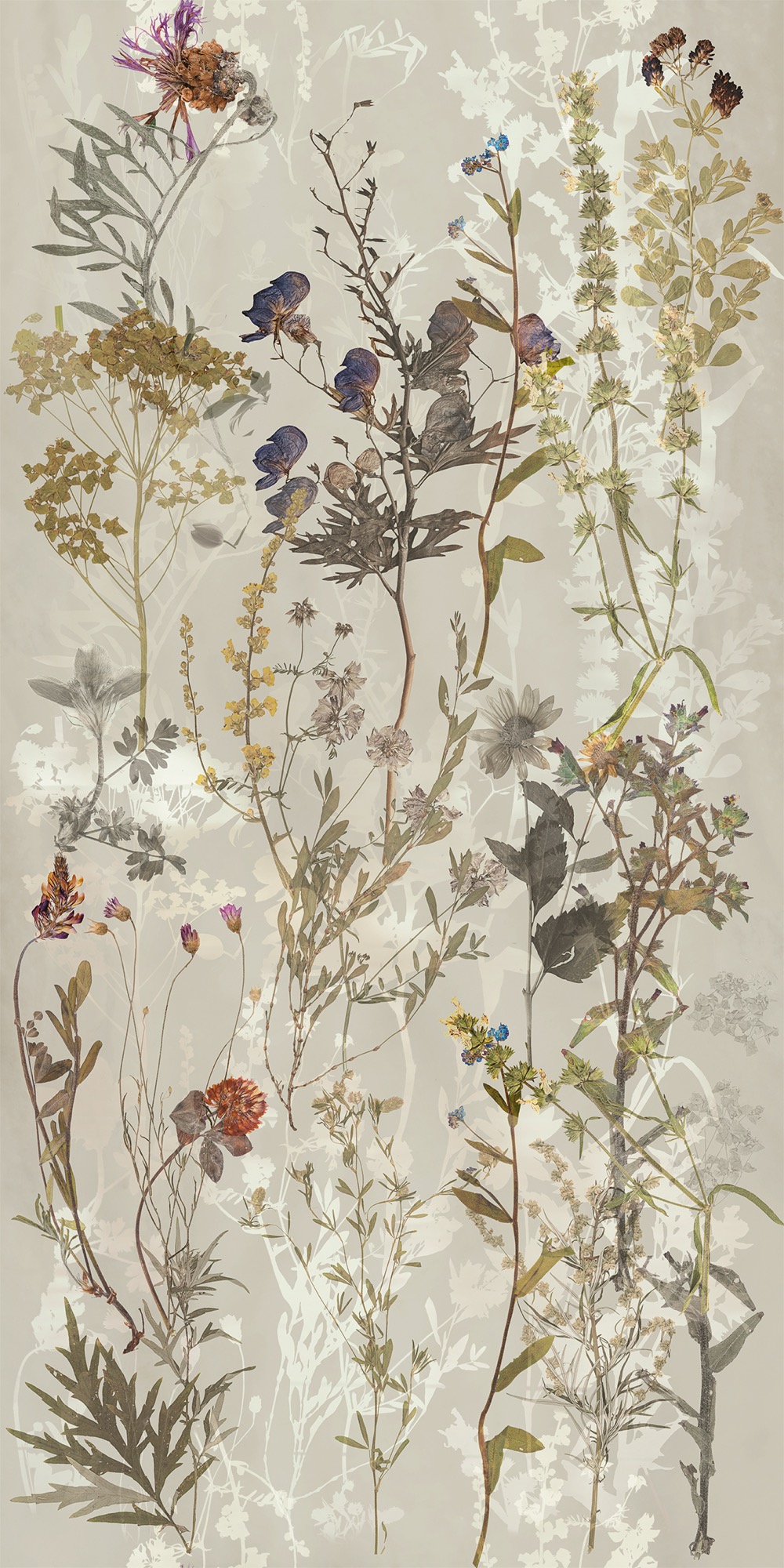 Wandfliese Aus Feinsteinzeug Decorato 03 60x120 - Ewtg1496 (ceramishop.de)