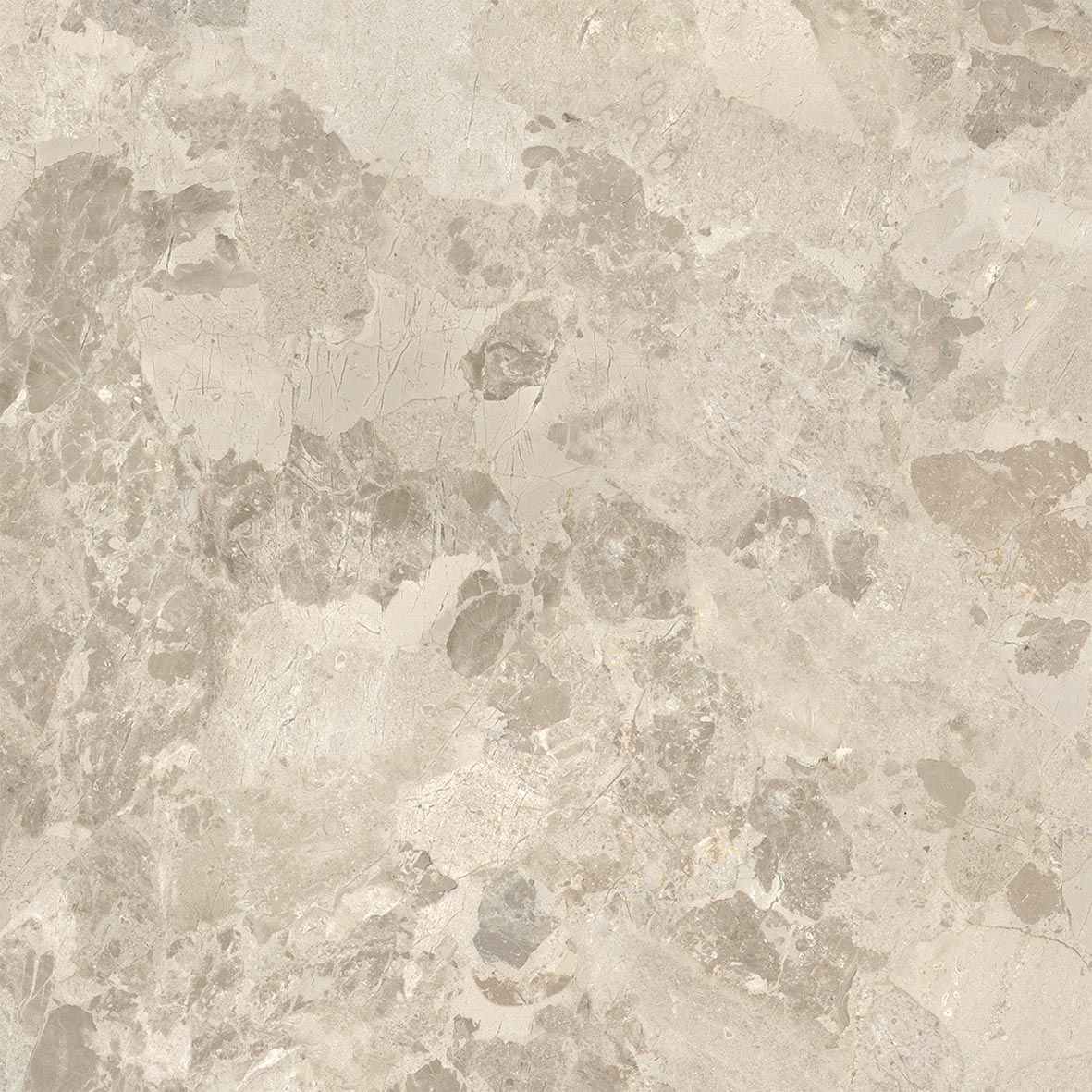 Fliese Aus Feinsteinzeug Moderne Ceppo Di Gré Steinoptik Beige 60x60 - Ei6036 (ceramishop.de)