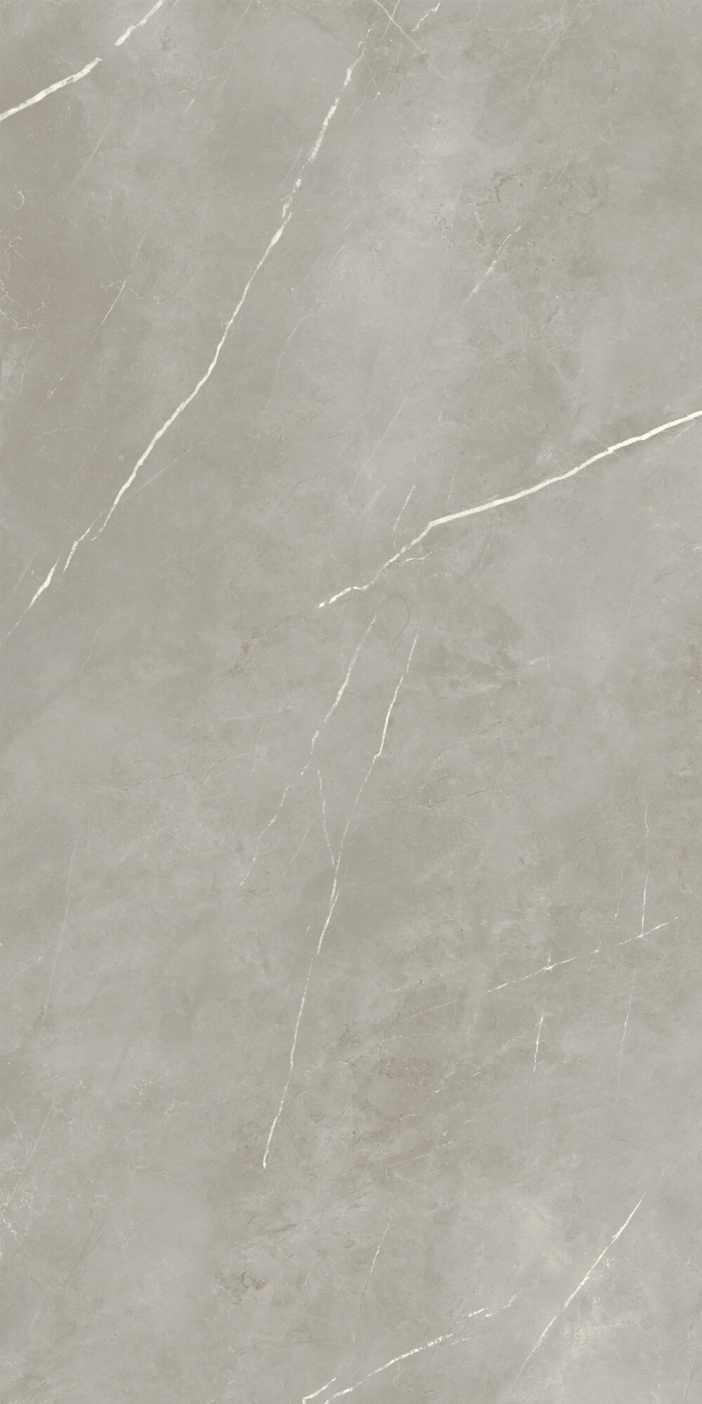 Feinsteinzeug Marmoroptik Royal Grau Matt 60x120 - Epyf169 (ceramishop.de)