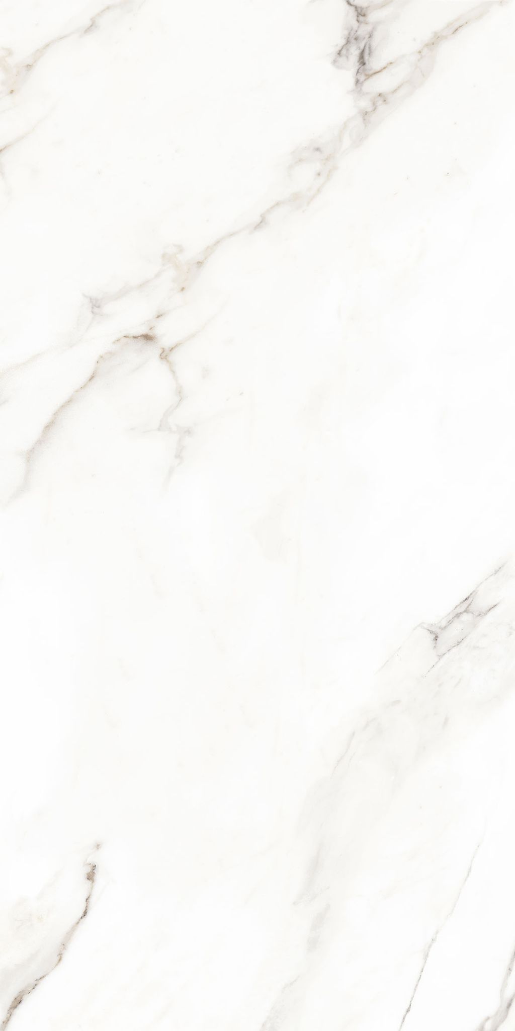 Feinsteinzeug Marmoroptik Calacatta Glänzend 60x120 - Ecaa104 (ceramishop.de)