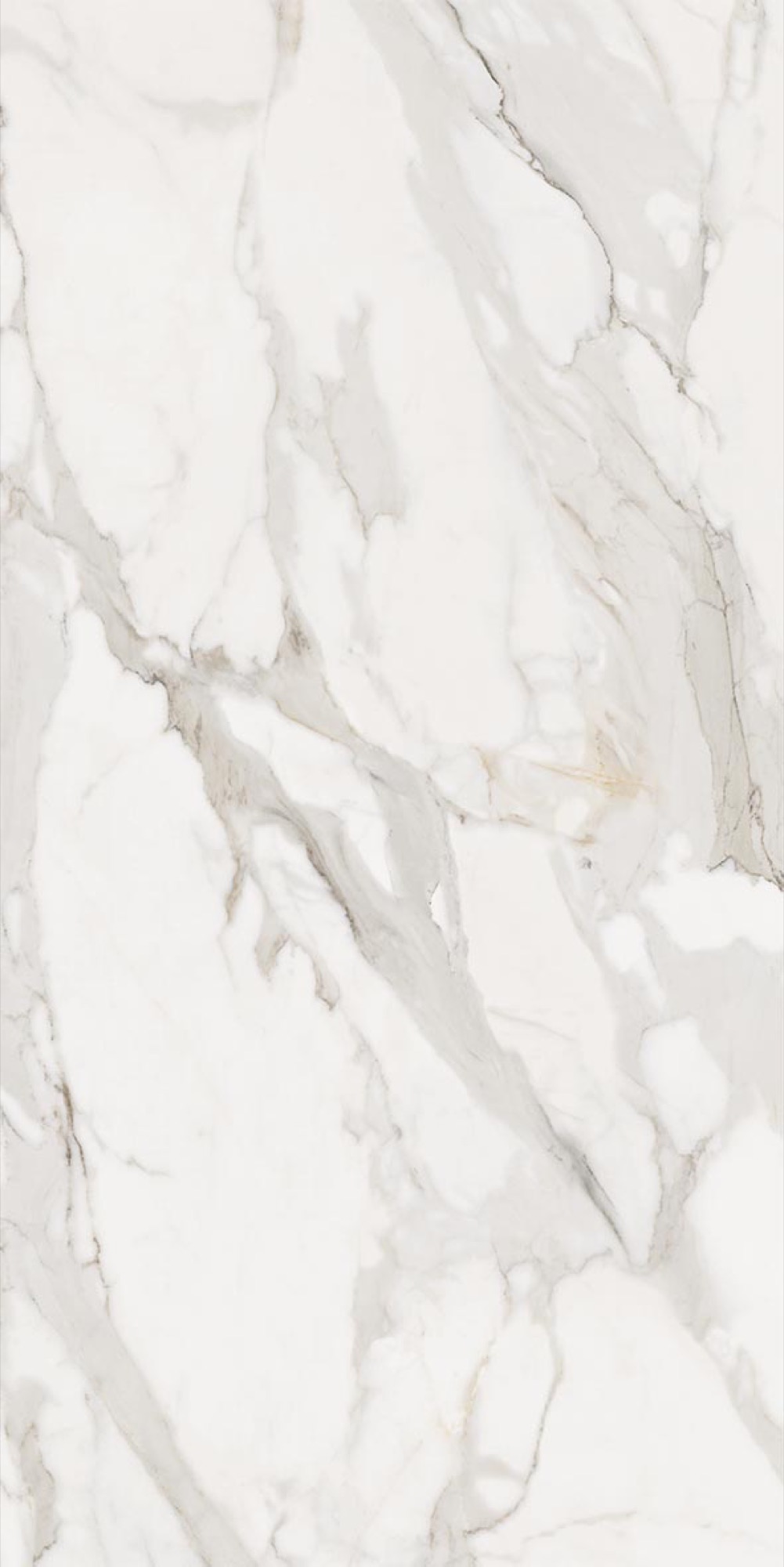 Feinsteinzeug Effetto Calacatta Supreme Glänzend 60x120 - Ecso1536 (ceramishop.de)