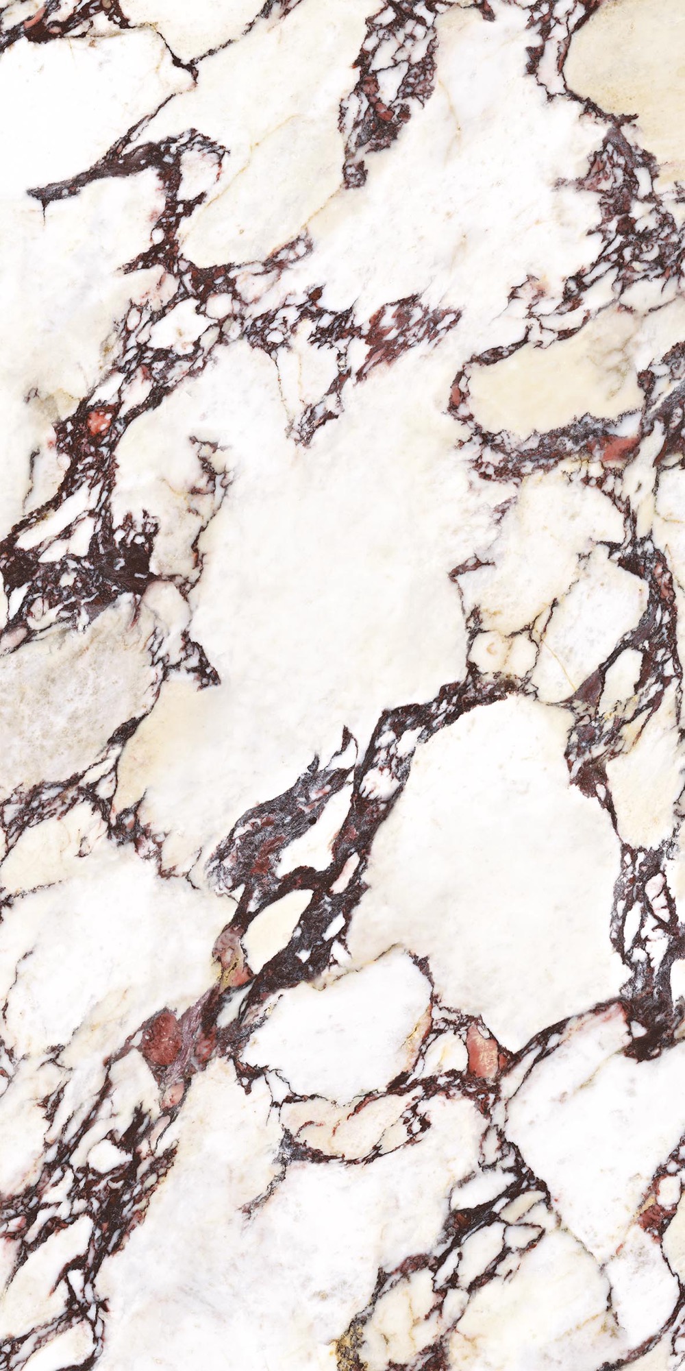 Feinsteinzeug Effetto Calacatta Viola Glänzend 60x120 - Ecva1546 (ceramishop.de)
