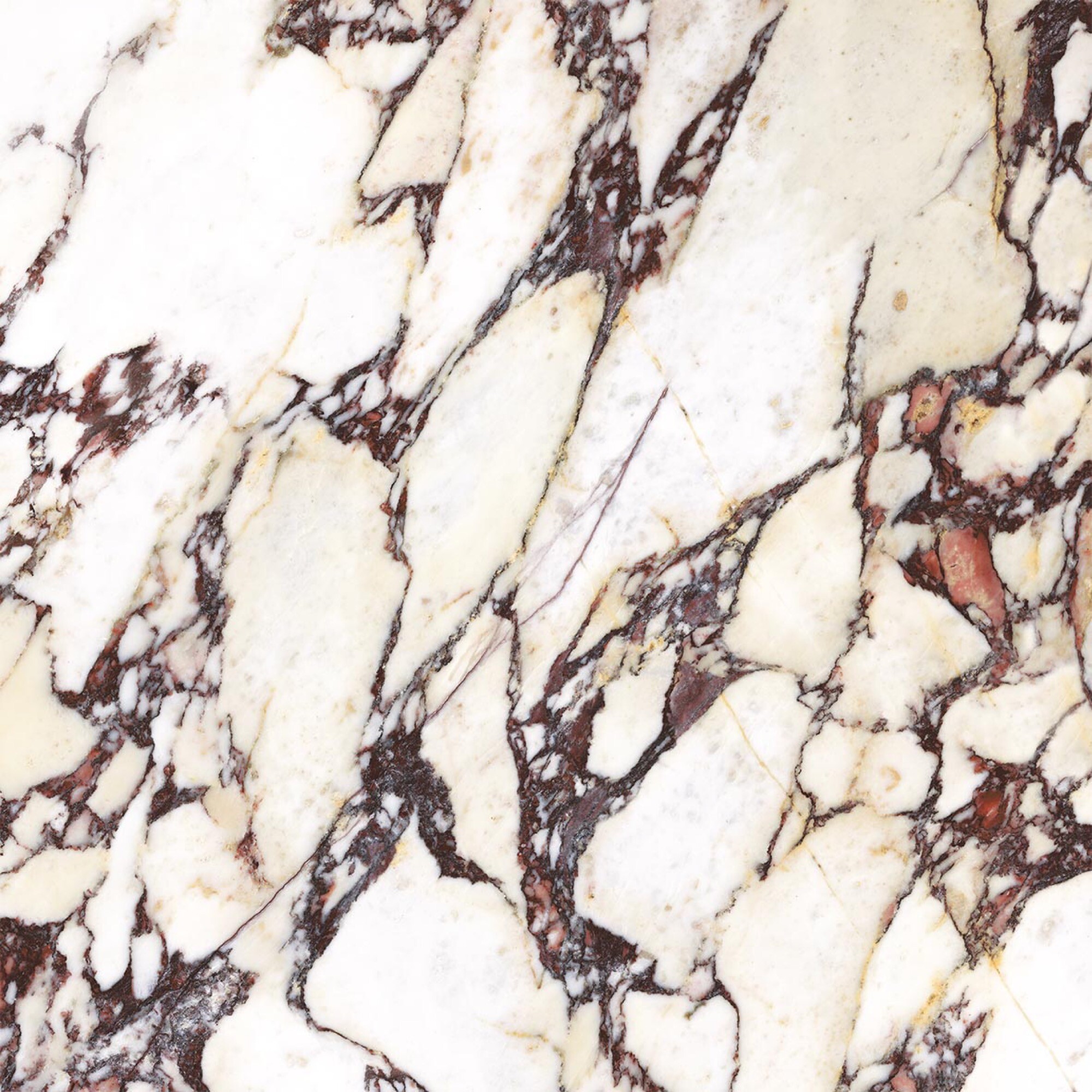 Feinsteinzeug Effetto Calacatta Viola Glänzend 60x60 - Ecva1548 (ceramishop.de)