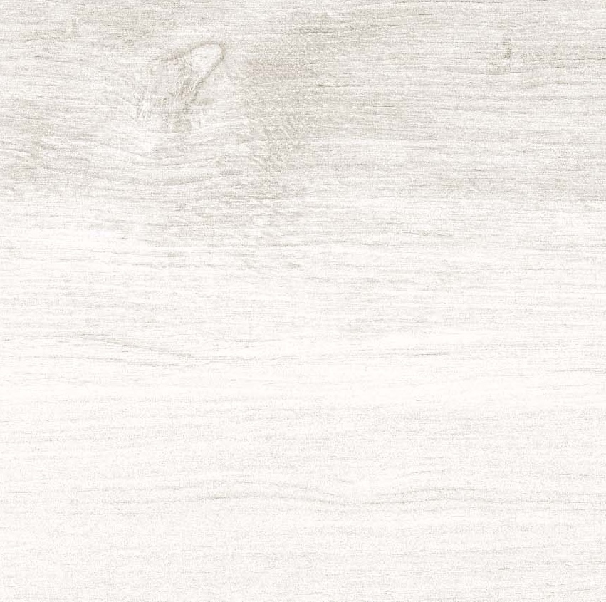 Feinsteinzeug Natürliche Holzoptik Weiß 20x120 - Lggp-0015 (ceramishop.de)