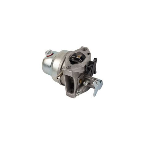 Lan Rasenmäher-ersatzteile, Vergaser 16100z0l023, Kompatibel Mit Honda Gcv160 Hrb216 Hrs216 Hrr216 Hrt216 Hrz216, Vergaser Mit Dichtungen, Kraftstofffilter